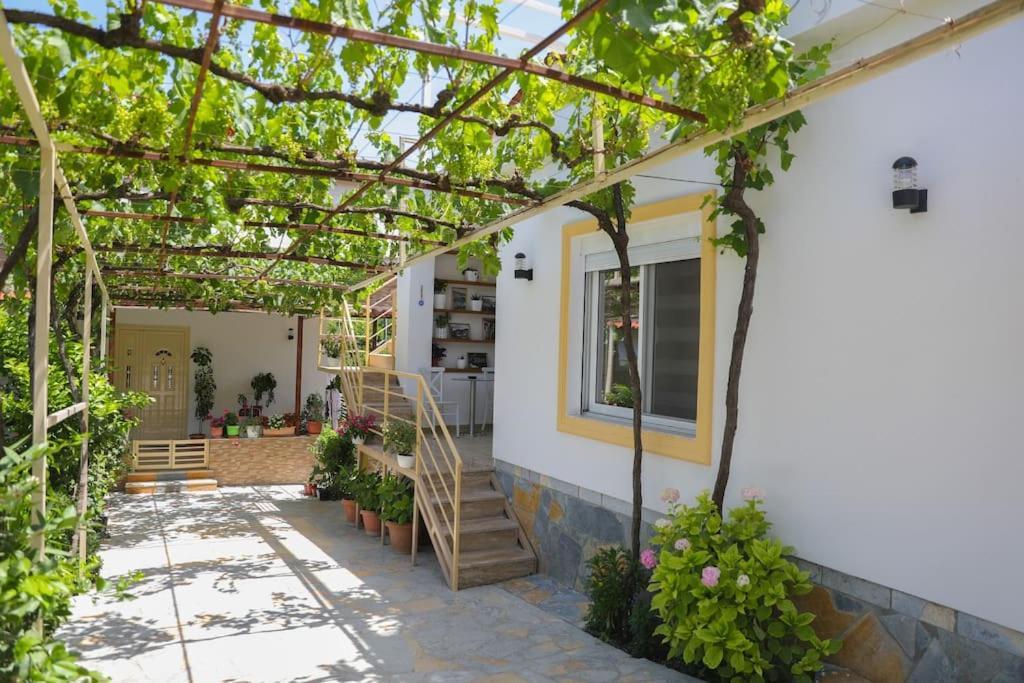 Cereni Guesthouse Berat Eksteriør billede